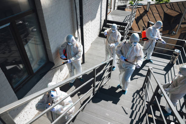 Best Mold Damage Restoration  in Clatskanie, OR
