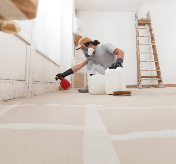Best Mold Prevention Services  in Clatskanie, OR